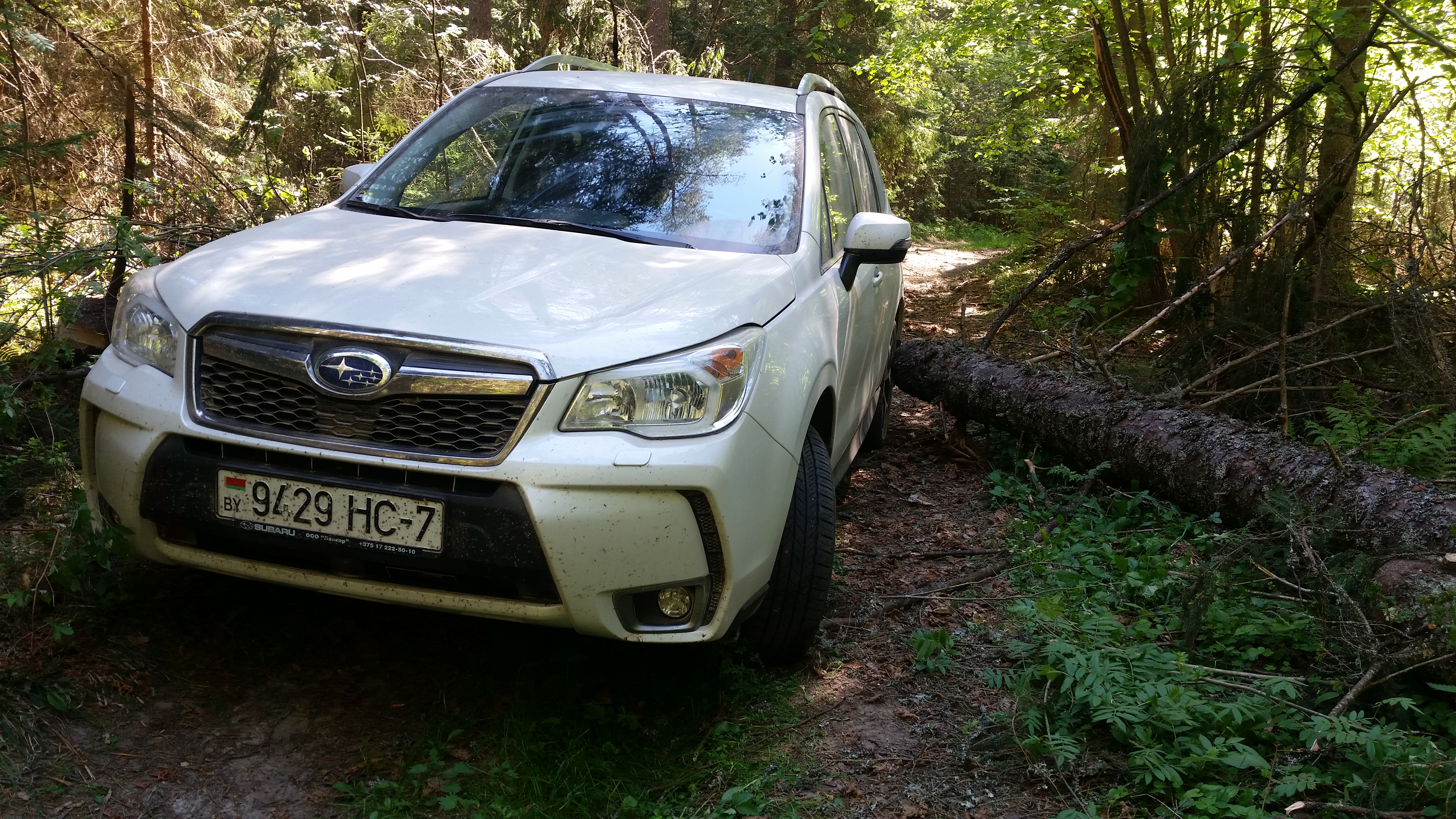 Форестер застрял